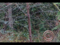 dsc00074.jpg